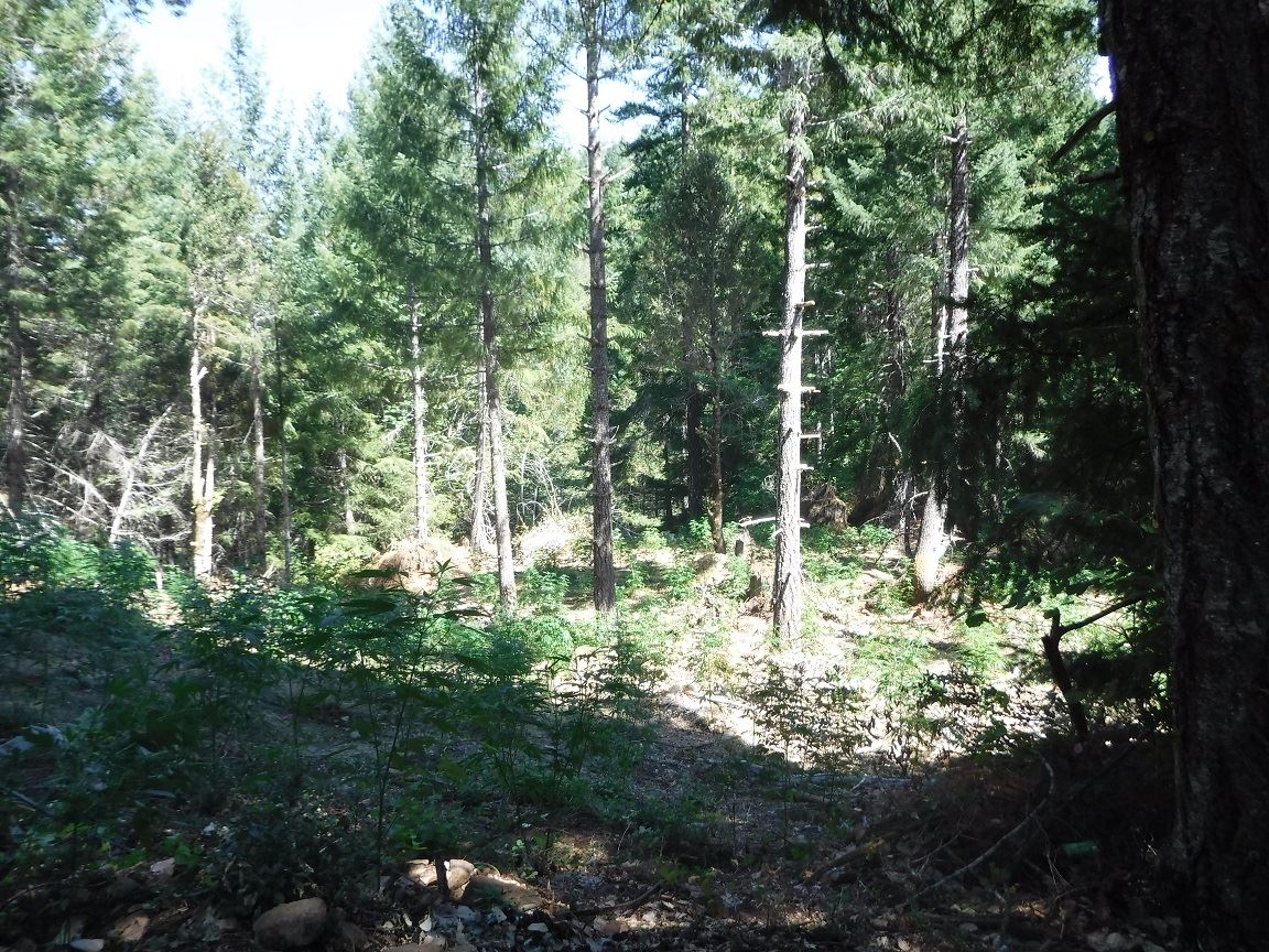 Search Warrant - Case 201603973